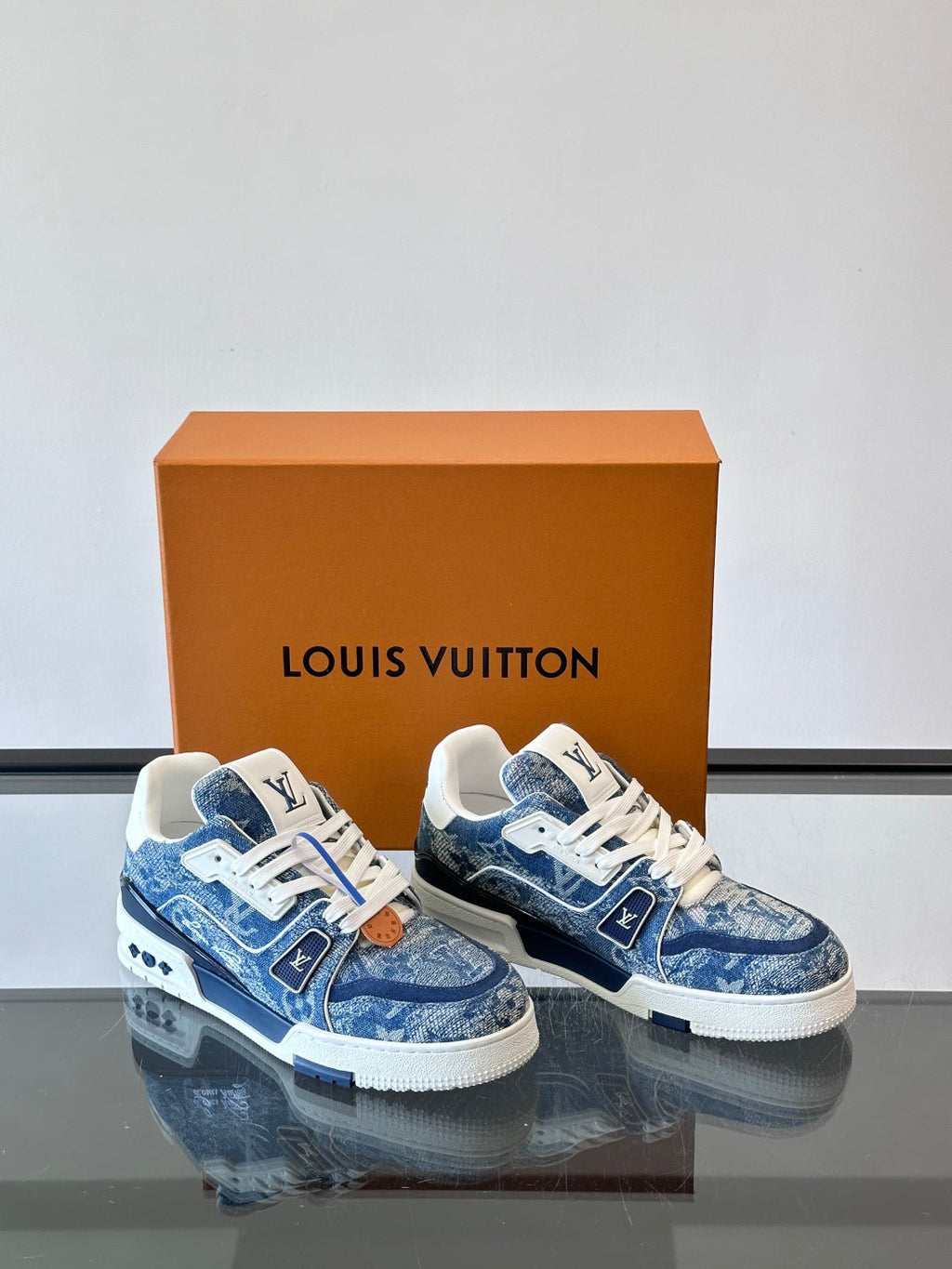 LV Trainers shoes