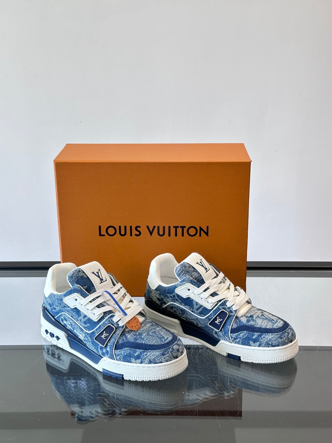 LV Trainers shoes