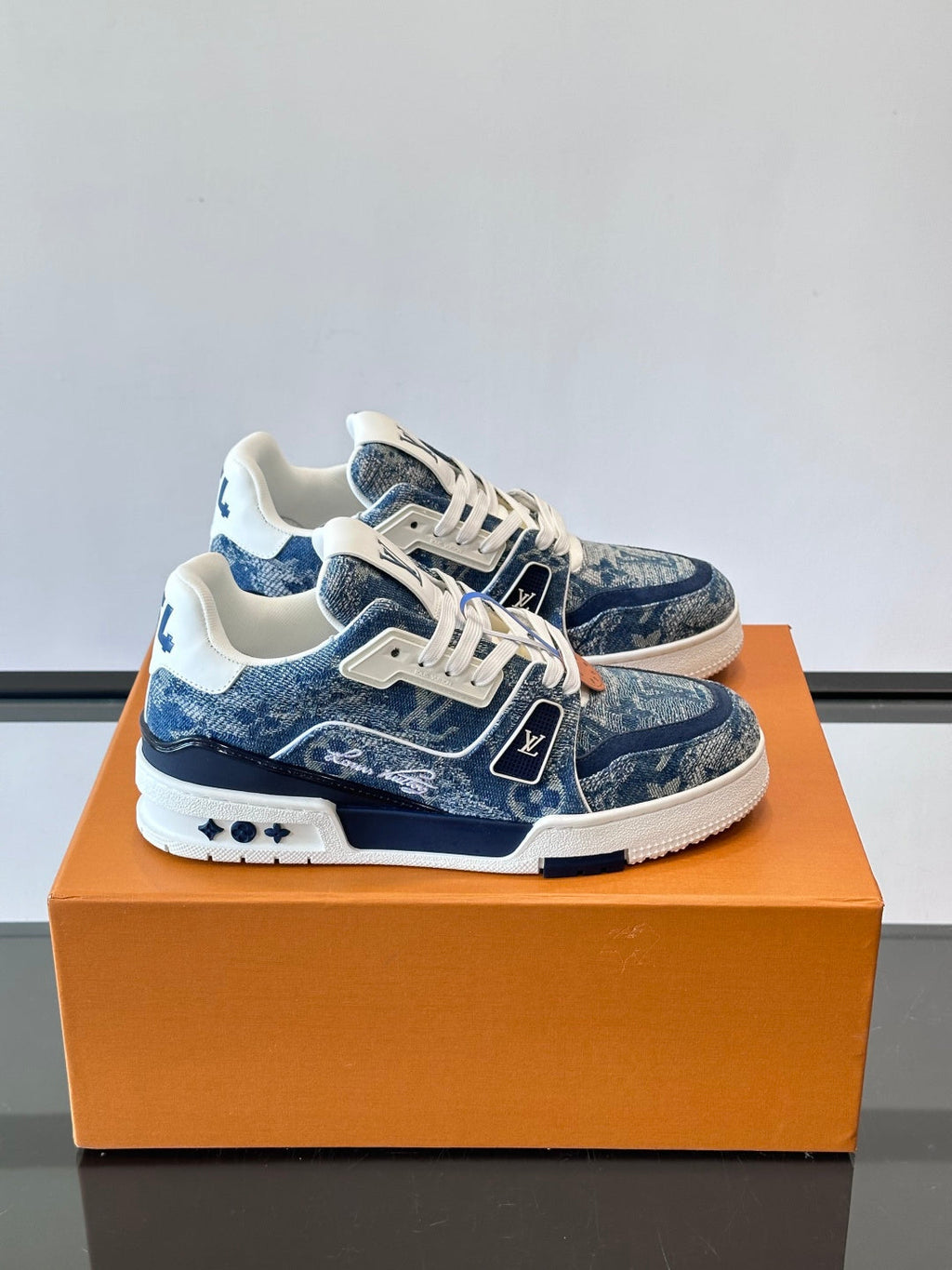 LV Trainers shoes