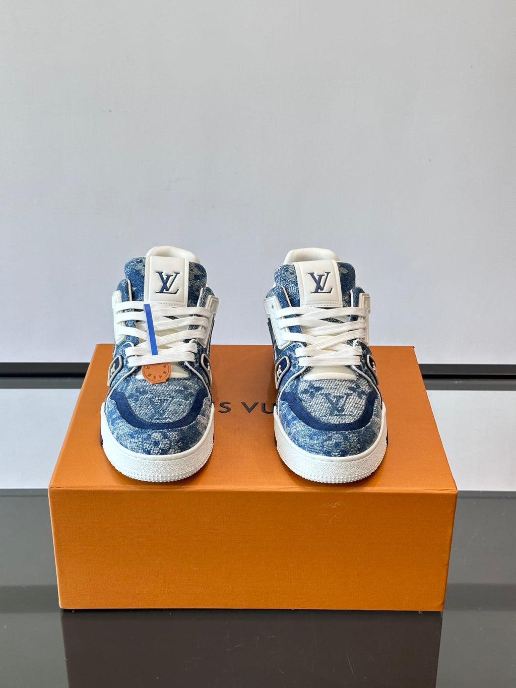LV Trainers shoes