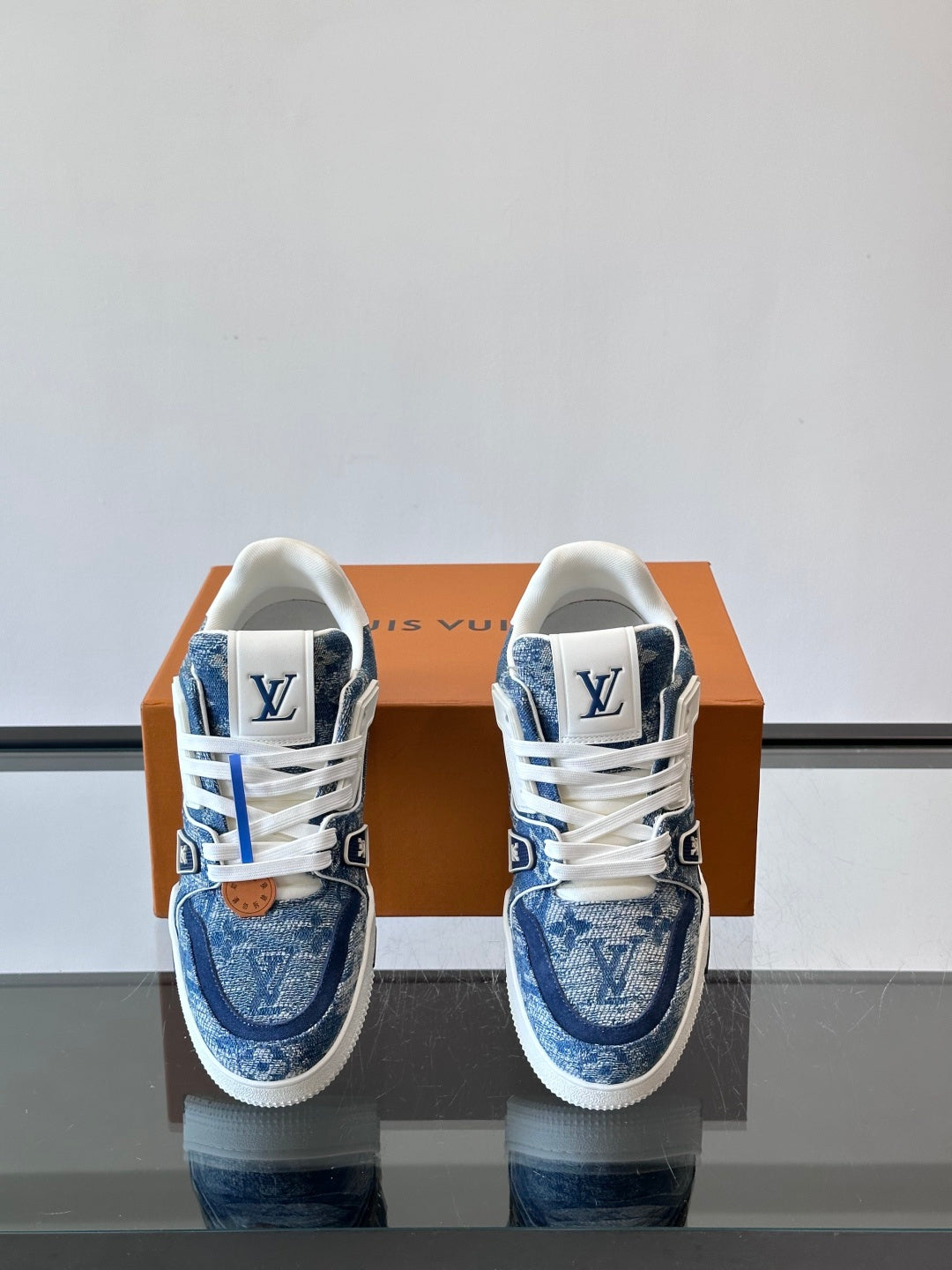 LV Trainers shoes